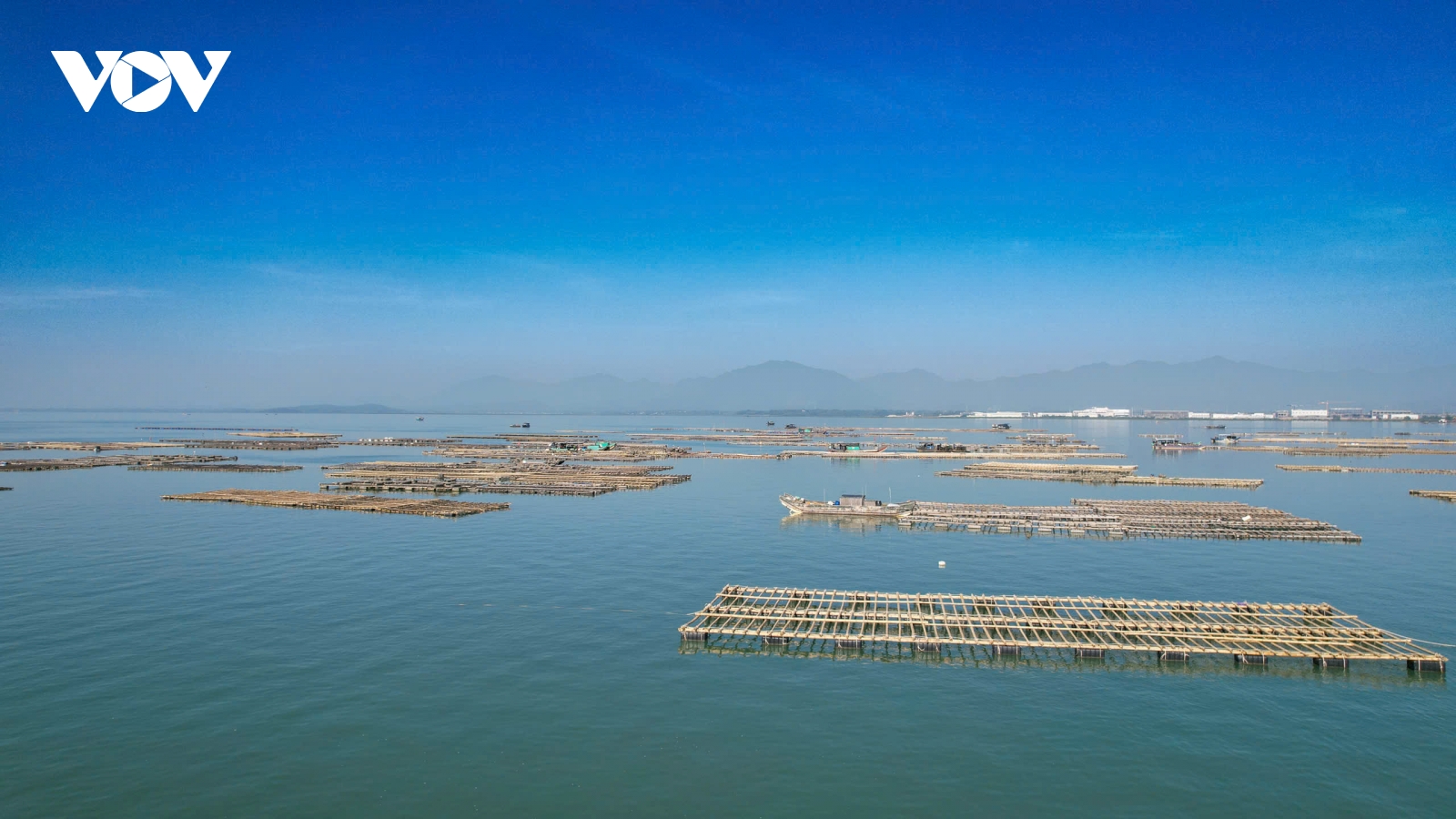 Quảng Ninh tái tạo nguồn lợi thủy sản, hướng tới nghề cá bền vững